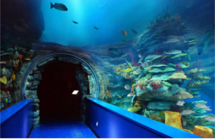 Sharjah Aquarium.