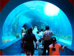 Sharjah Aquarium