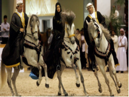 Sharjah International Arabian Horse Festival