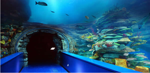 Sharjah Aquarium..